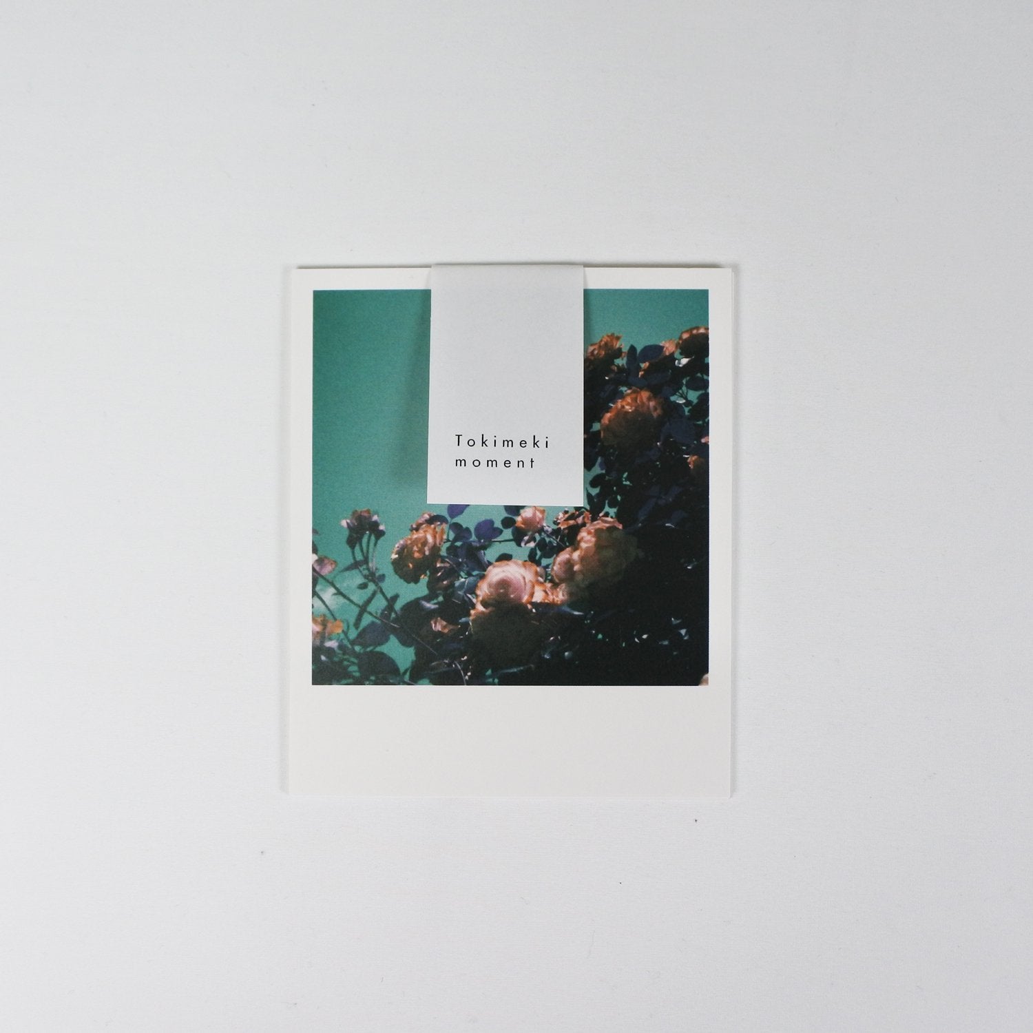 Tokimeki momemt - ポストカードD 4枚入